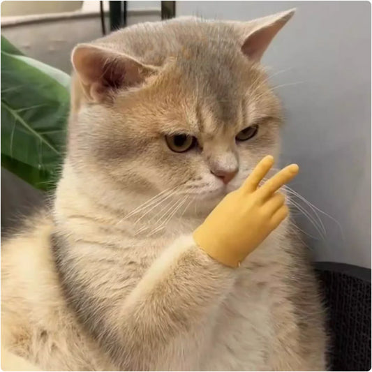 「ネコの指先」高弾力マスコット 「撸猫爪(猫撫で爪)ミニビーイーハサミグローブ」