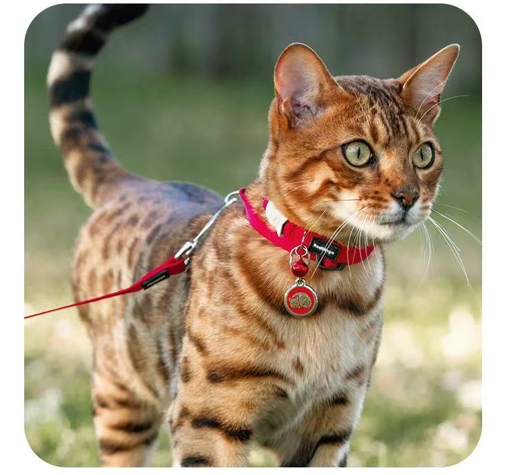 猫用ハーネスセット 猫用工字形調整可能な脱落防止伸縮リード