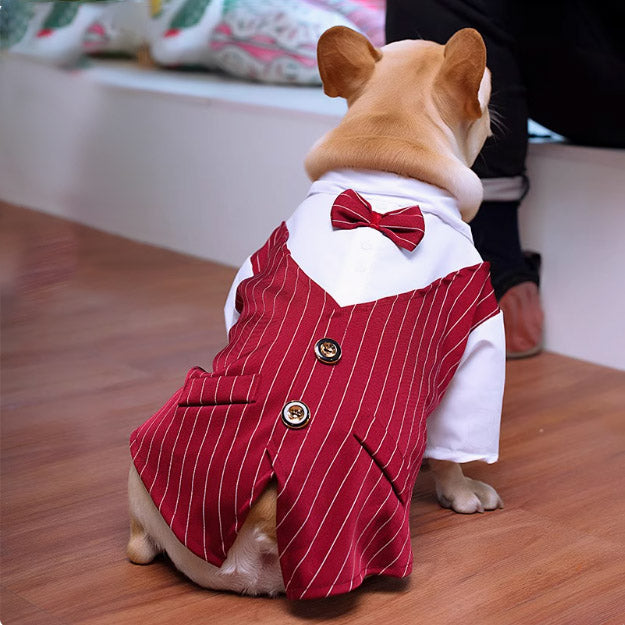 犬や猫用の付き添いの衣装。結婚式用のシャツ。ブルドッグ(法斗)、コーギー、イギリスンショートヘア(英短)、ラグドール(布偶)用。祝祭的なデザインで、通気性の良い薄手のスーパー。