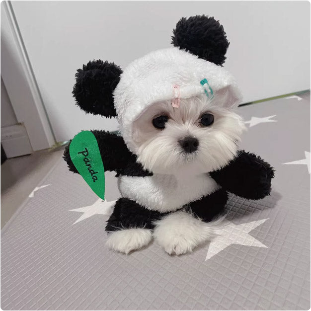 ボメラニア用のパンダ服、ペット用の立ち姿用衣装、小型犬(ビビ、テディ)用の面白くておかしい衣装、猫用衣装。