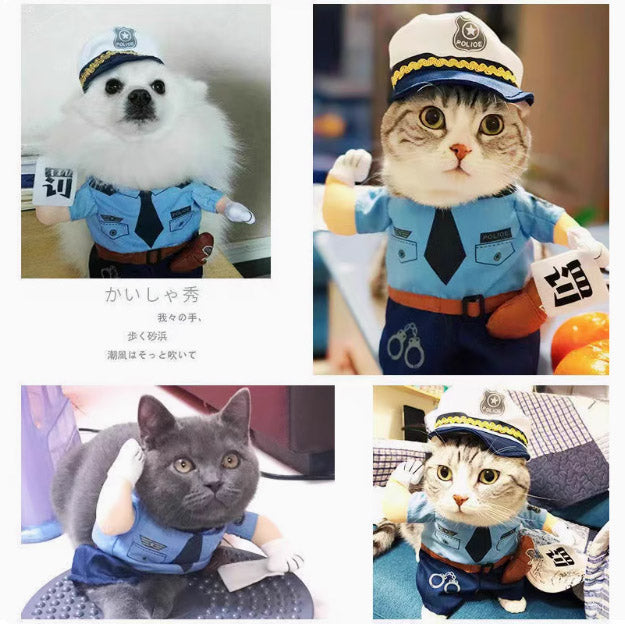 面白くておかしい犬用衣装。可愛いネコ用衣装。ペット用で、子猫や小型犬(テディ、ボメラニア)用。ネットで人気の変身衣装。