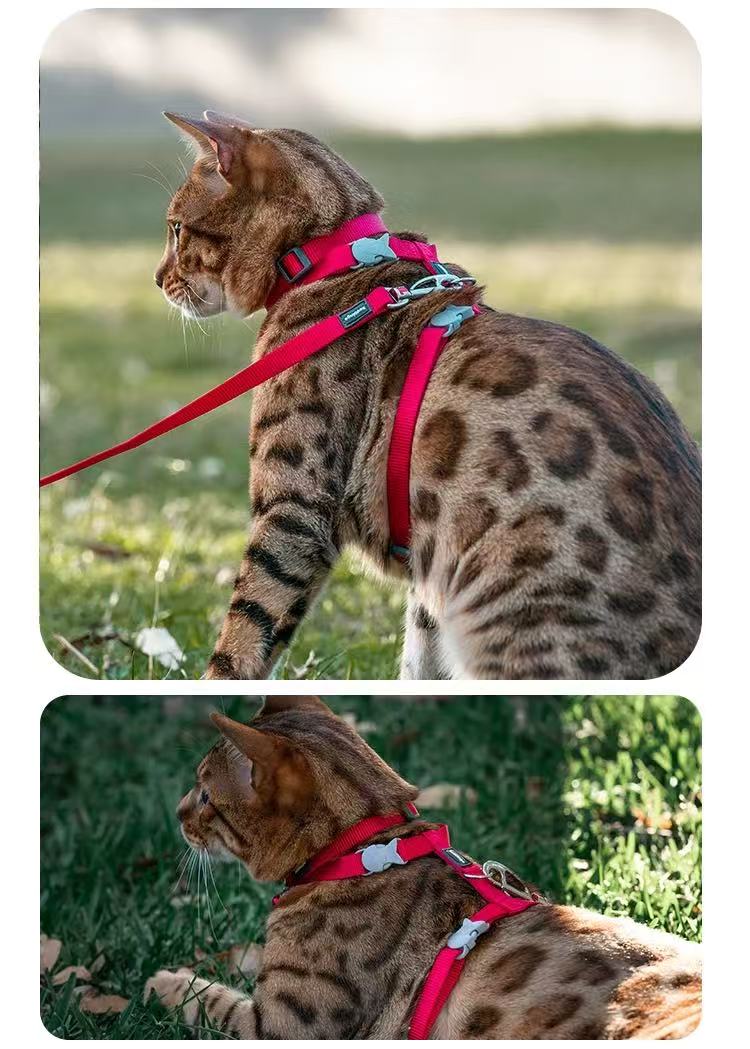 猫用ハーネスセット 猫用工字形調整可能な脱落防止伸縮リード