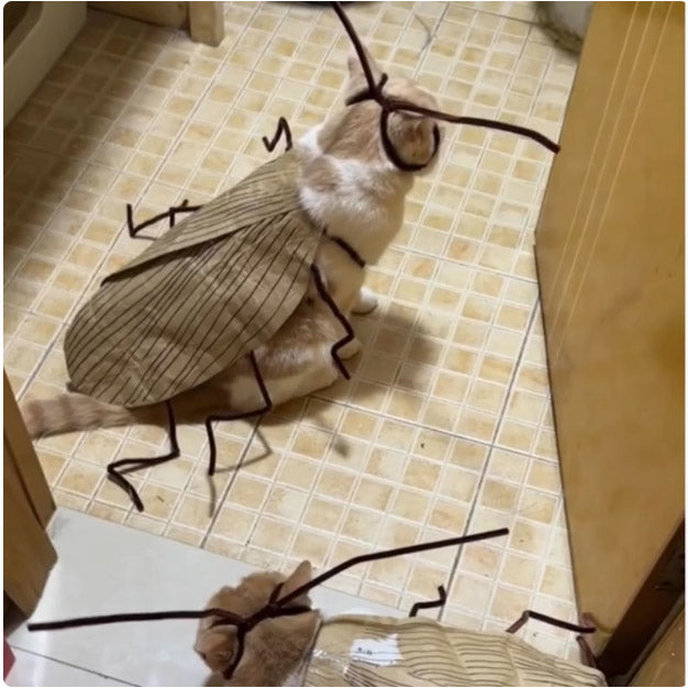 【ゴキブリネコ】ペット用コスプレ衣装|おかしな手作り DIY パイプクリップ材料セット|ペット用小さな衣装