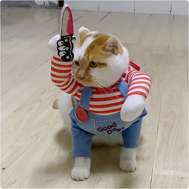ネットで人気のペット用衣装。ビビ、金毛、ボメラニア、柴犬、コーギー、テディ、猫などに適した、面白い「ナイフを持った」風変身衣装。