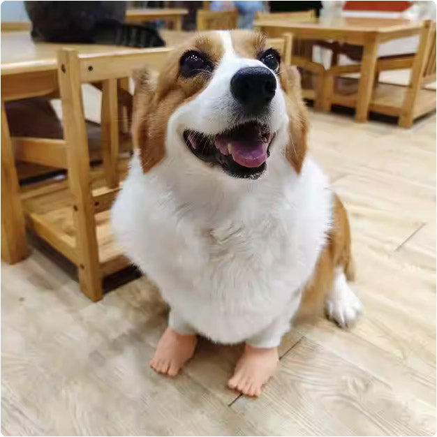 伸縮性ある犬・猫用爪指ケース|ギャグなミニ巨大足|中大型犬・大型猫用ペットシューズカバー
