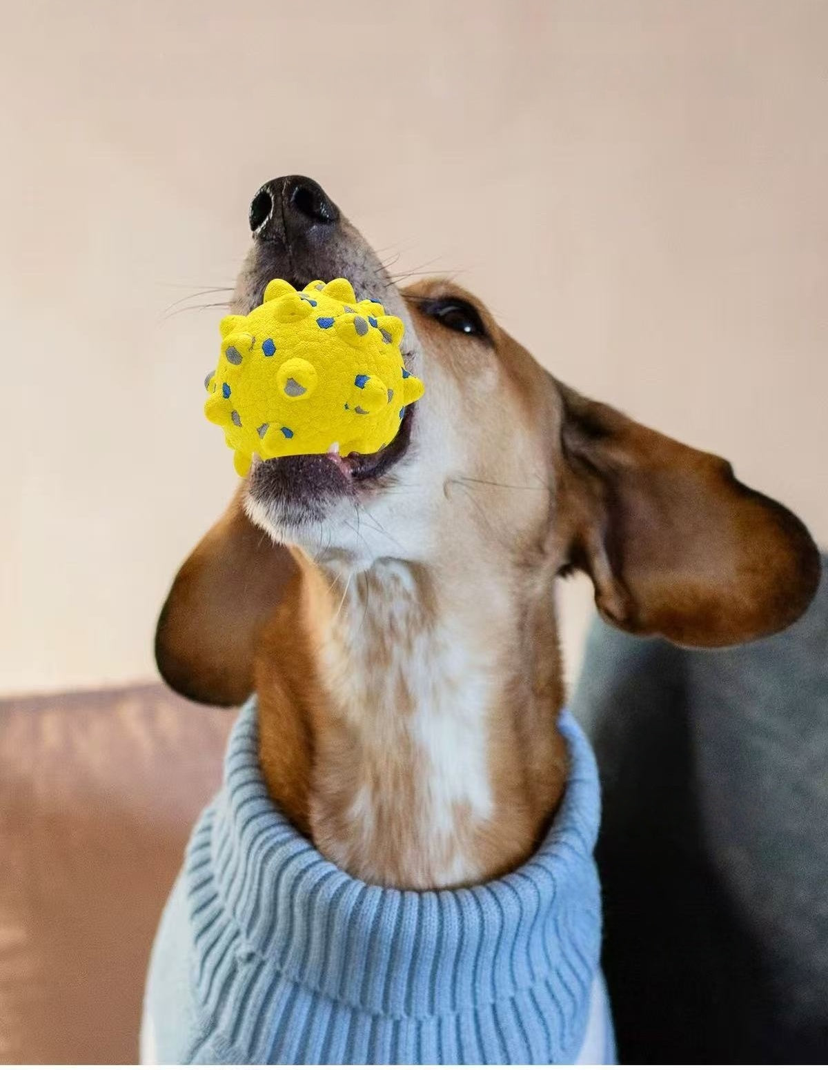 マジッククリーン歯ブラシ 犬用 噛み壊れないペット玩具 耐咬性 噛み歯磨き用 小型・中型・大型犬用(ボーダーコリーなど) 爆発音タイプ