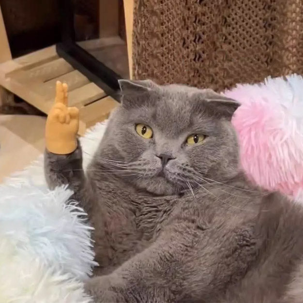 「ネコの指先」高弾力マスコット 「撸猫爪(猫撫で爪)ミニビーイーハサミグローブ」