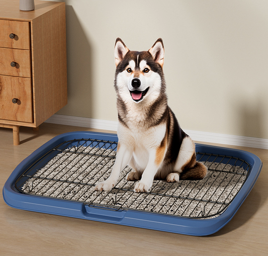 家庭用ペットトイレ、犬猫用トイレ用の大型プラスチック犬用ベッド、厚手の猫砂トイレ