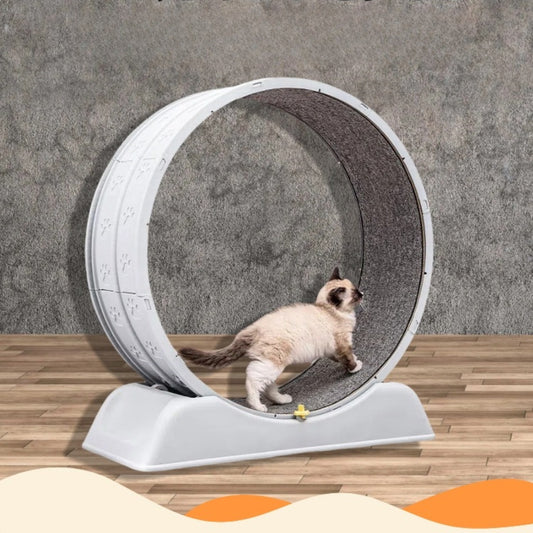 猫用ランニングマシン 静音キャットホイール 運動フィットネス ペットキャット キャットローラー おおきなキャットクレードル