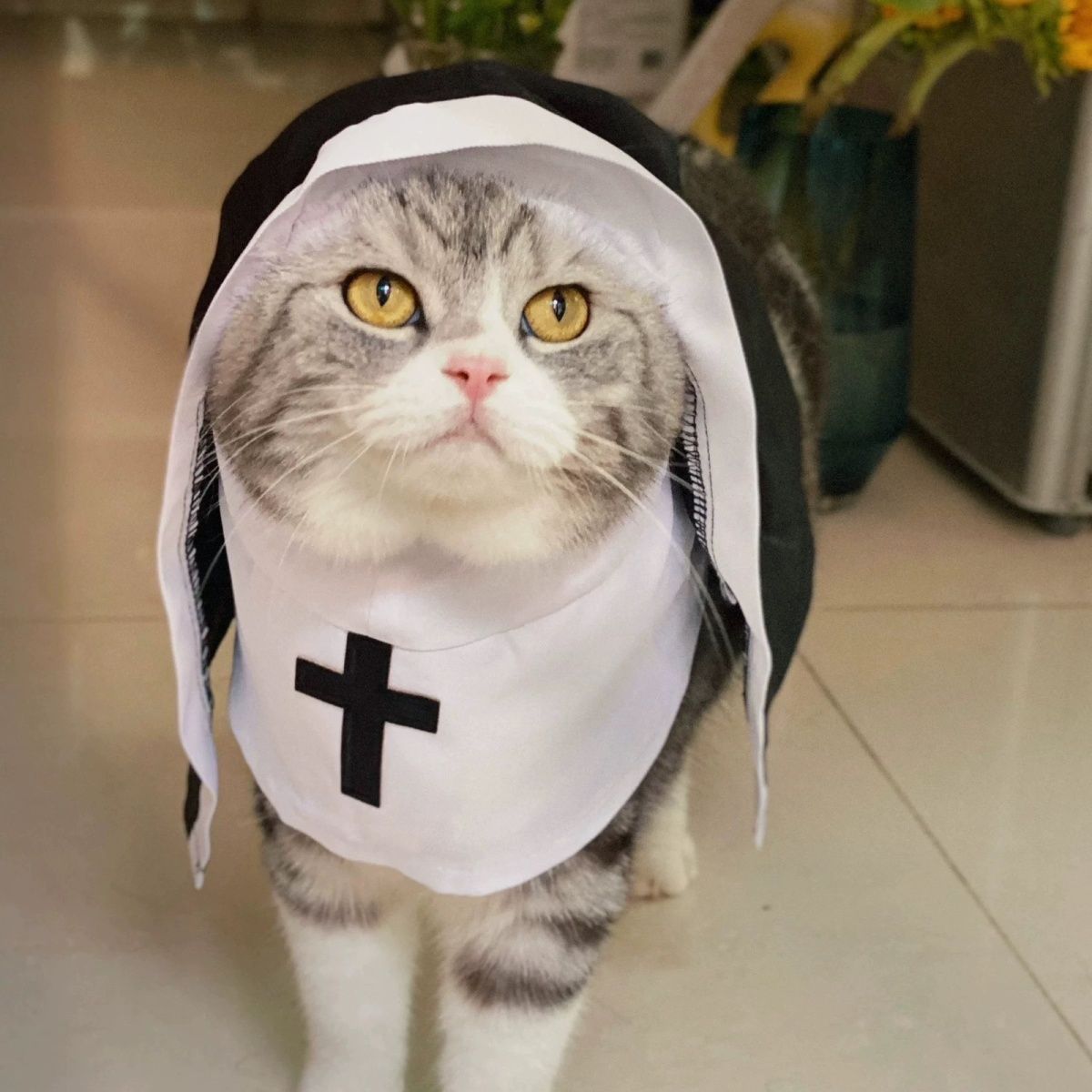 小修道女の猫衣装 ペット服 小型犬用 通気性があり 面白いコスプレ 撮影用小道具