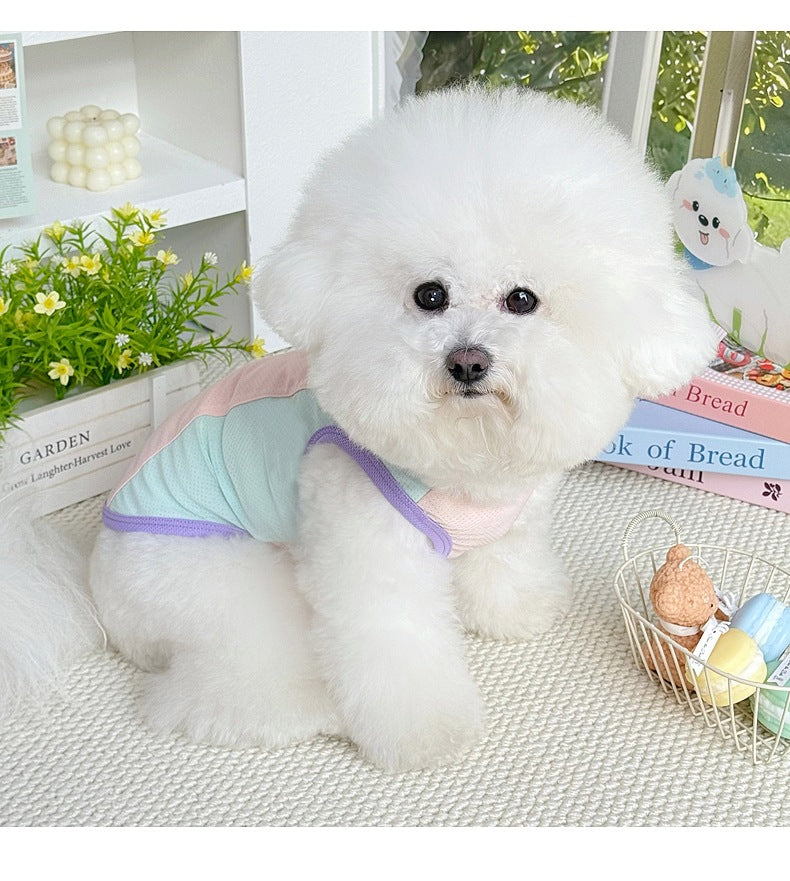 マカロン小さな蝶々メッシュ日焼け防止クール牽引ベスト小型犬ビション春夏薄手ペット犬服