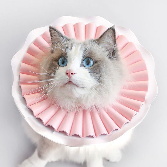 ペット用エリザベスカラー2個セット