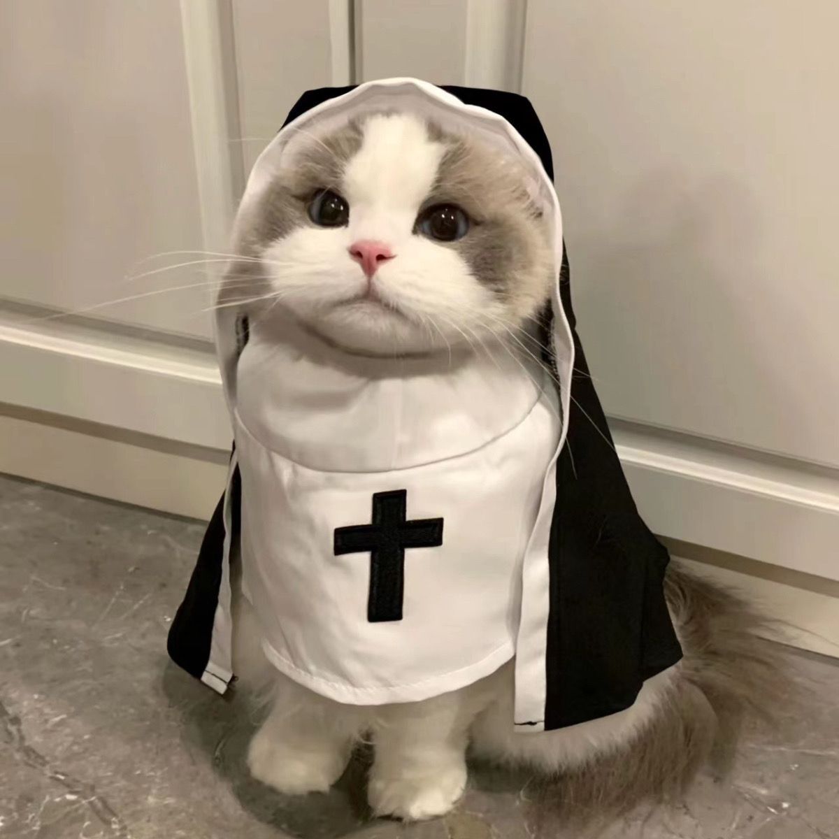 小修道女の猫衣装 ペット服 小型犬用 通気性があり 面白いコスプレ 撮影用小道具