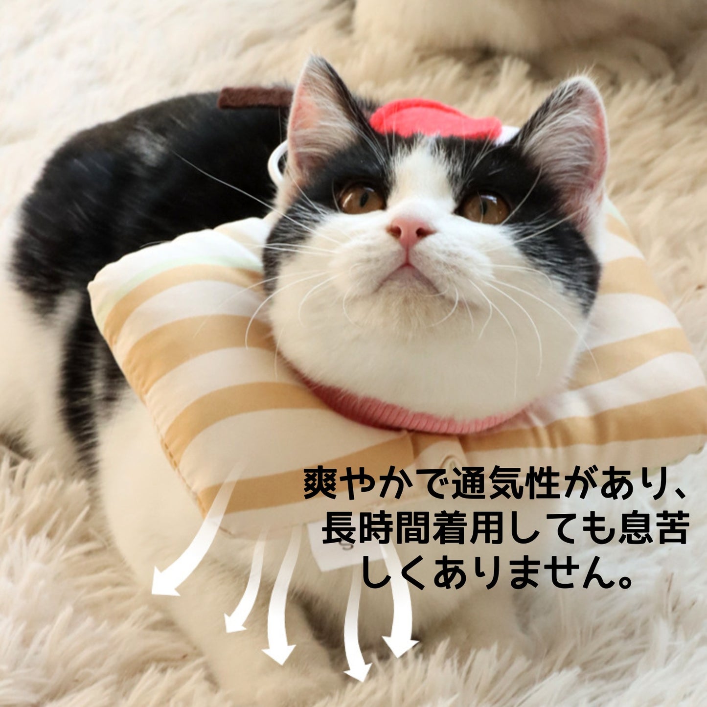 食物エリザベスカラー 猫用舐め防止去勢ペット用首輪 犬用首輪 柔らかく調整可能な猫の首輪
