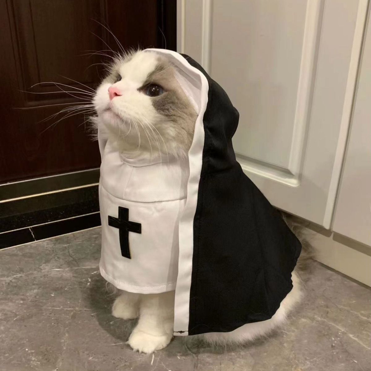 小修道女の猫衣装 ペット服 小型犬用 通気性があり 面白いコスプレ 撮影用小道具