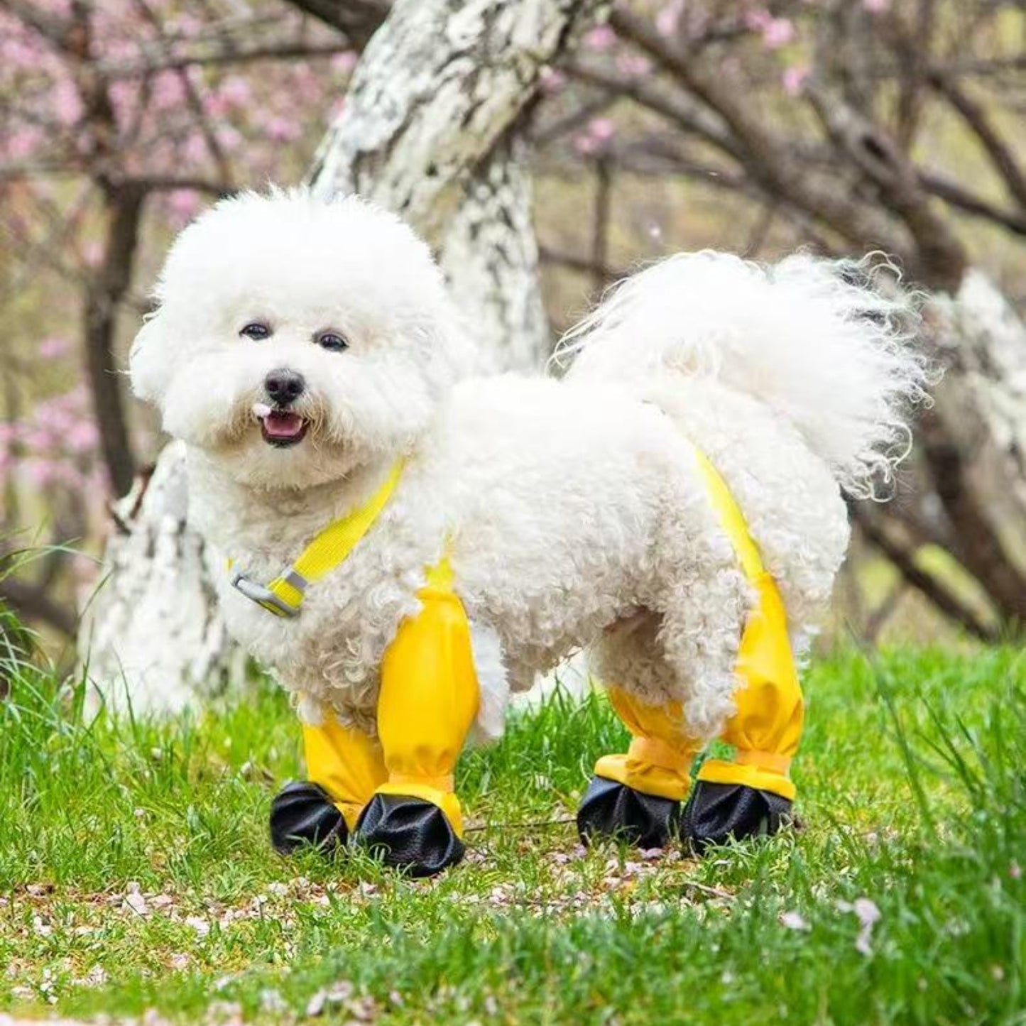 ペット用の外出用犬用レインシューズ 防水 耐汚れ 滑り止め 四季通用 散歩用の脱げにくい靴
