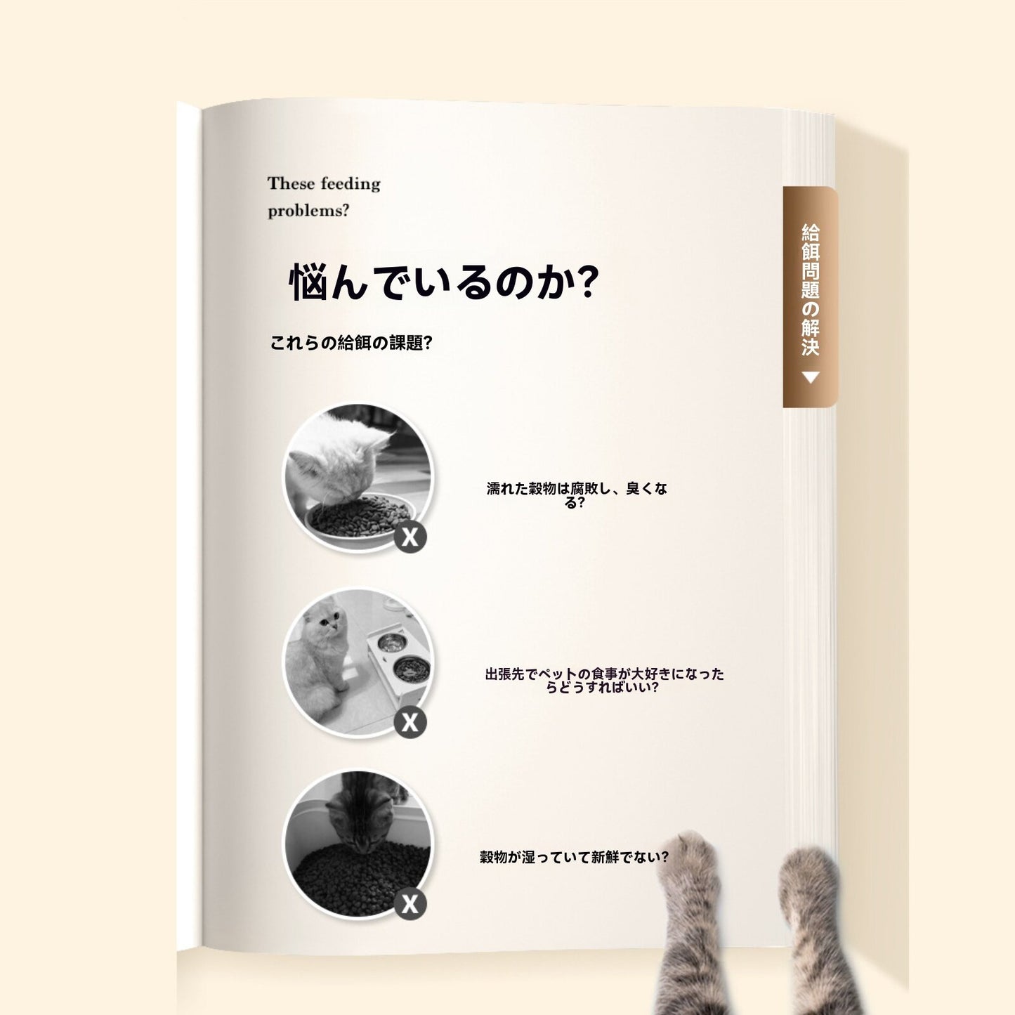 ペット用定時自動給餌ボックス