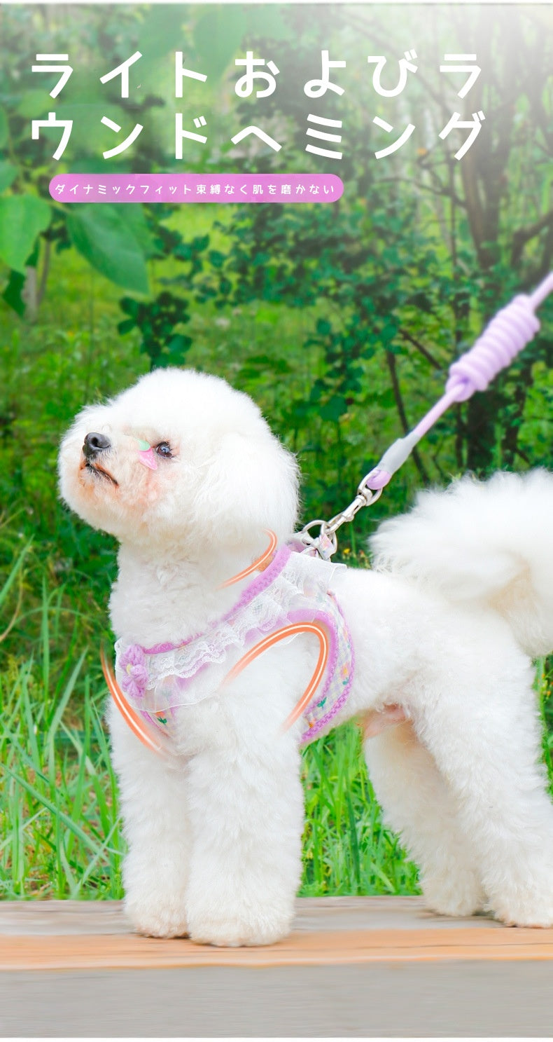 犬猫用ハーネス型リード、小型犬用ビションフリーゼ用、テディベア用キャットリード