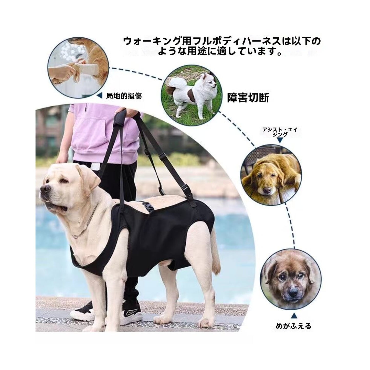 外出用の犬用補助ベルト、後ろ足の怪我をした老犬や怪我をした犬のためのストレス軽減補助具