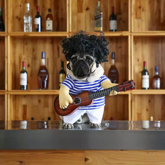 夏用の薄手の犬用衣装。ボメラニア、金毛、テディ等のペット用。面白くておかしな、猫やギタリストを模した変身衣装。