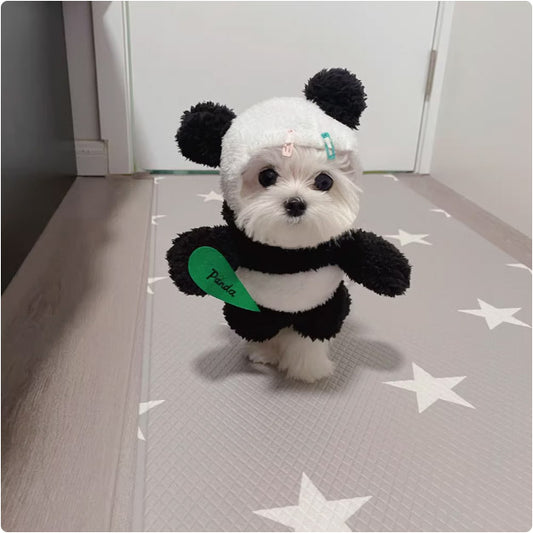 ボメラニア用のパンダ服、ペット用の立ち姿用衣装、小型犬（ビビ、テディ）用の面白くておかしい衣装、猫用衣装。