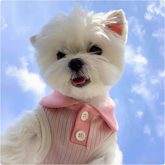 レジャー春・夏用小型犬用カラーブロック フラップカラー二脚衣