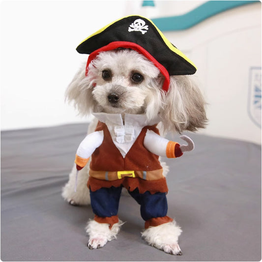面白い海賊風変身衣装（立ち姿用）。犬・猫用ペット衣装で、テディ、ビビ、ボメラニア、柴犬、コーギーなどの小型犬に適したサイズ。