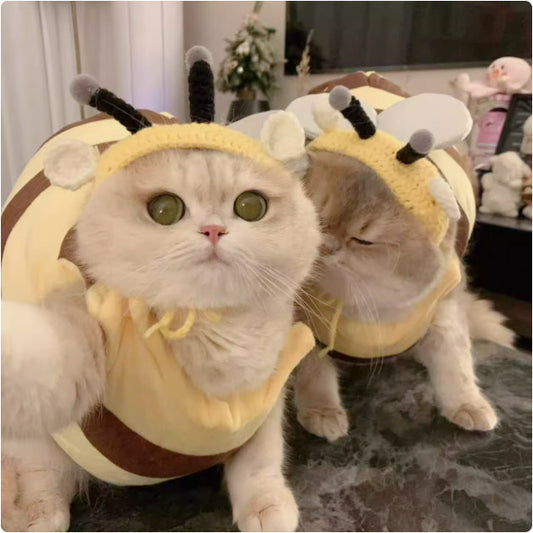 ネコミミビー（猫蜜咪蜂）のニューアイテムペット用猫のセットアップ。毛布地で厚手で保温性があり、秋冬用。可愛くておかしなミツバチネコのデザイン。