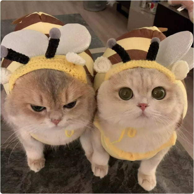ネコミミビー（猫蜜咪蜂）のニューアイテムペット用猫のセットアップ。毛布地で厚手で保温性があり、秋冬用。可愛くておかしなミツバチネコのデザイン。