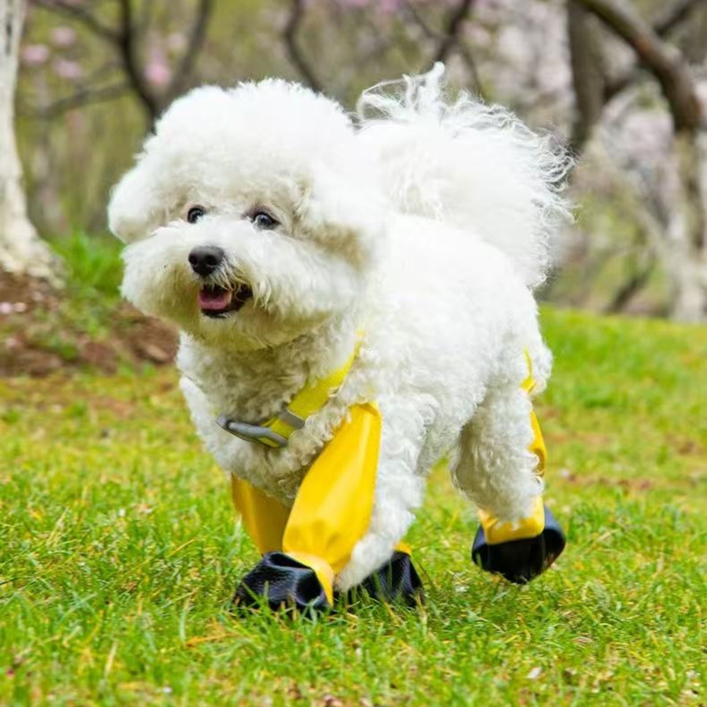 ペット用の外出用犬用レインシューズ 防水 耐汚れ 滑り止め 四季通用 散歩用の脱げにくい靴