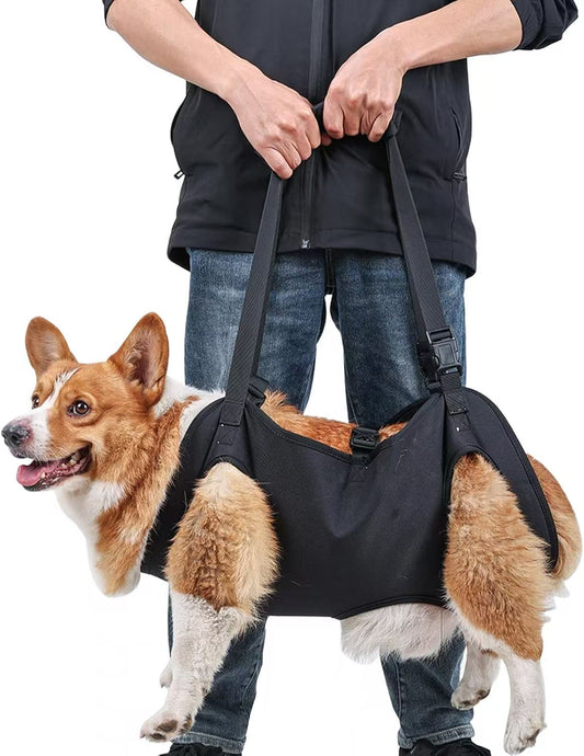 外出用の犬用補助ベルト、後ろ足の怪我をした老犬や怪我をした犬のためのストレス軽減補助具