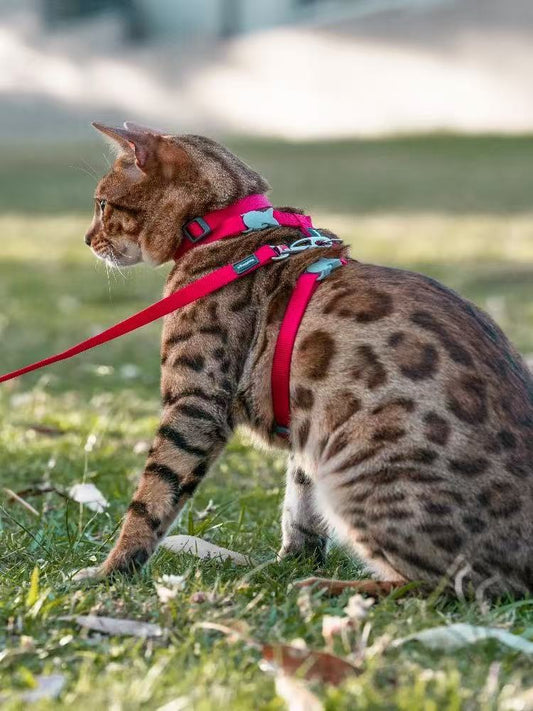 猫用ハーネスセット 猫用工字形調整可能な脱落防止伸縮リード
