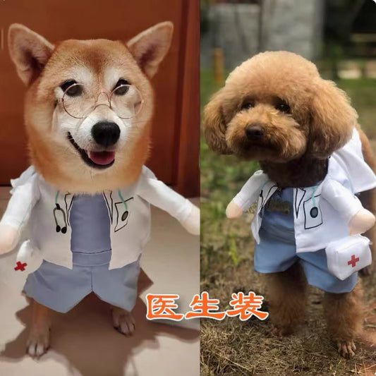 可愛くて面白くておかしいペット用の衣装。ネコや小型犬用の、秋用の衣装で、ネット（抖音）で人気の看護婦風や医者風の変身衣装。